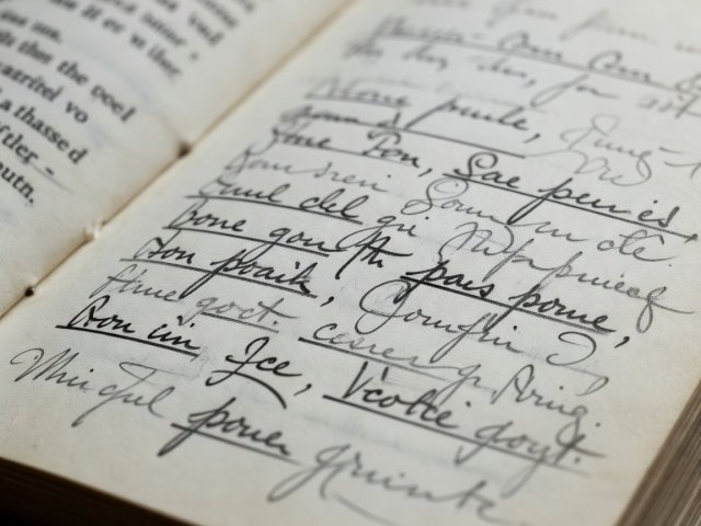 Macro photograph of pencil annotations in the margin of an open book